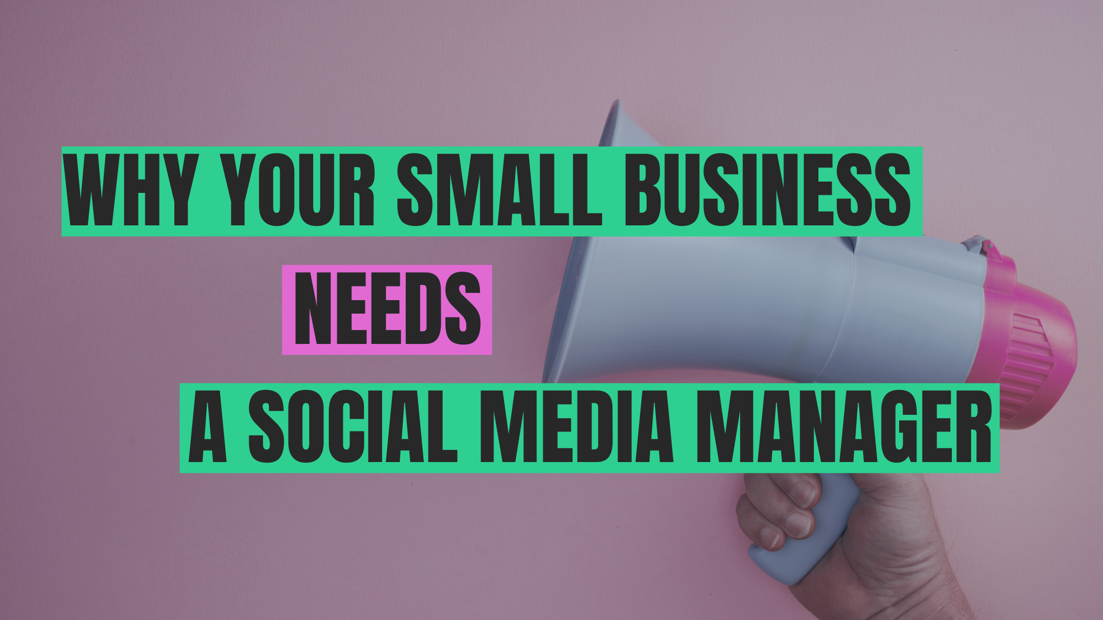 Why Your Small Business Needs a Professional Social Media Manager