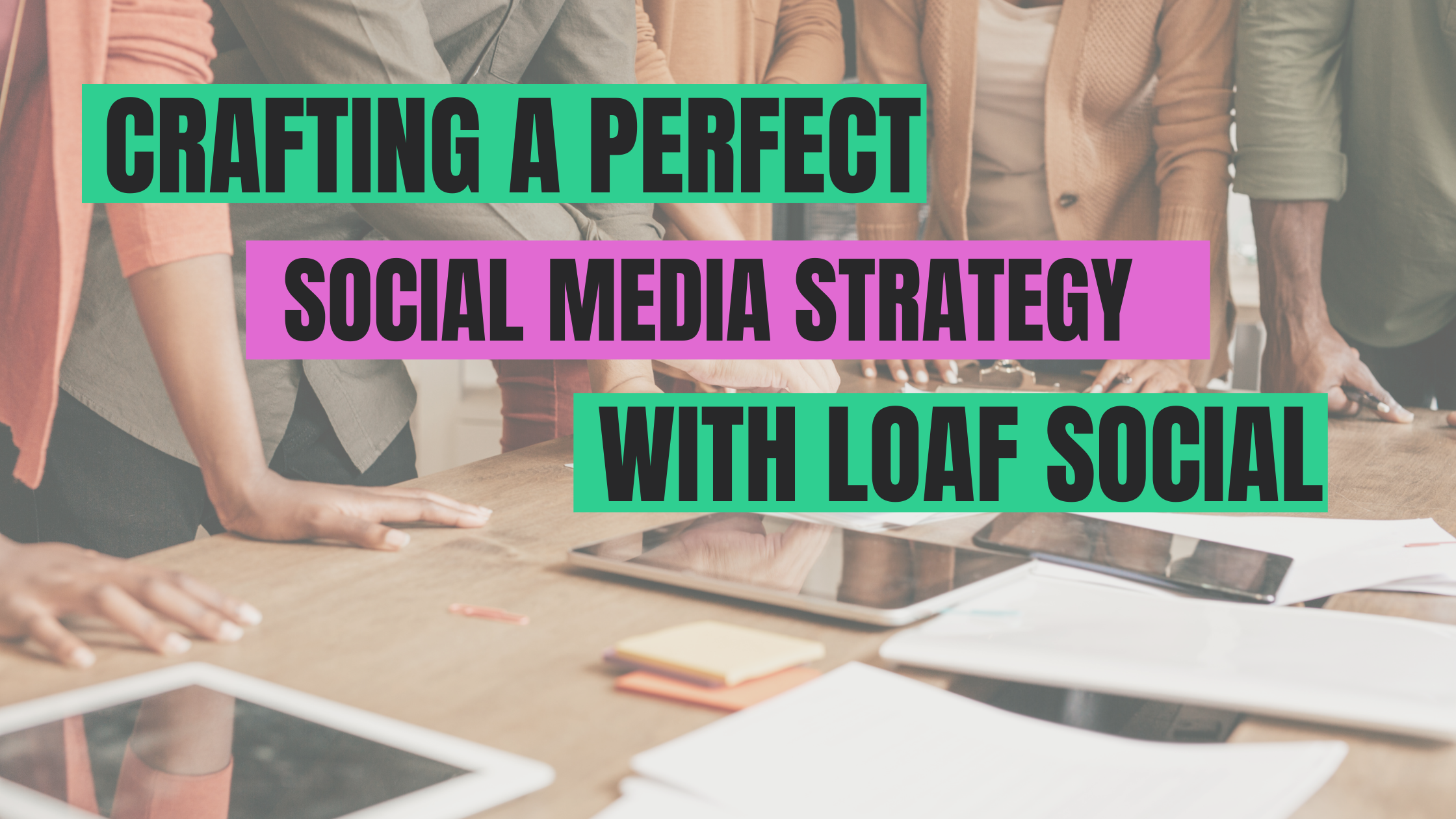 Crafting the Purr-fect Social Media Strategy with Loaf Social